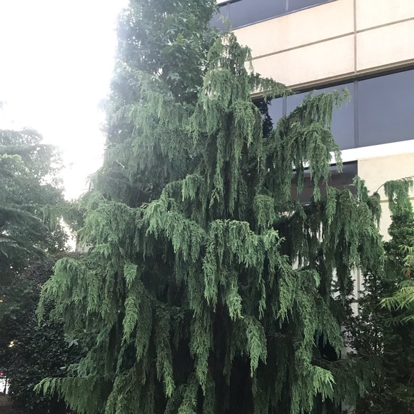 Meet your Posher, Jared - Picture 1 of 1